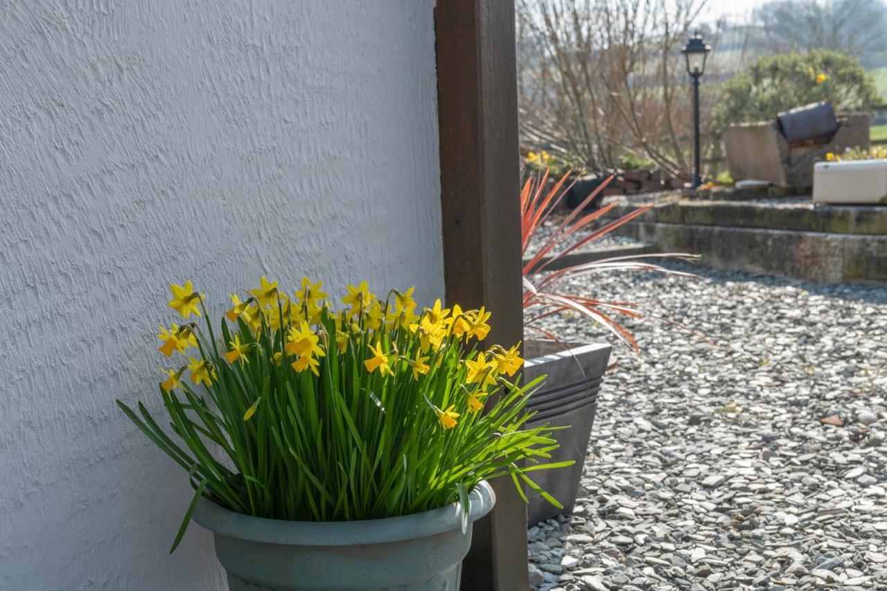 Beautiful Countryside Cottage On The North Wales Coast أبرجيل المظهر الخارجي الصورة
